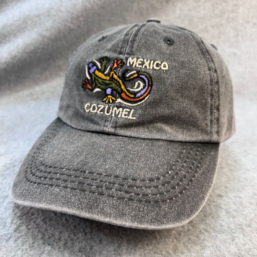 Cozumel Mexico Gecko Adult Grey Unbranded Souvenir Baseball Hat OSFM